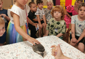 Jeż i inne zwierzęta - warsztaty edukacyjne