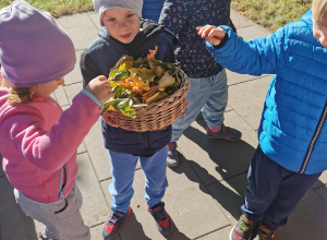 Jesienna gra terenowa