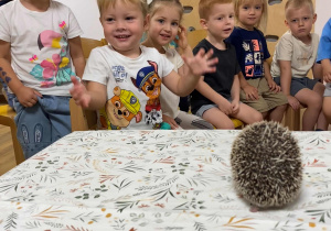 Kto zasypia zimą a kto nie? - warsztaty edukacyjne