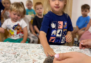 Kto zasypia zimą a kto nie? - warsztaty edukacyjne