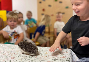 Kto zasypia zimą a kto nie? - warsztaty edukacyjne