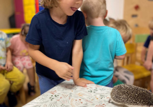 Kto zasypia zimą a kto nie? - warsztaty edukacyjne
