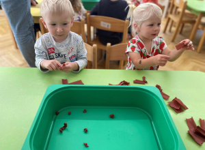 Grzybek - praca sensoryczna