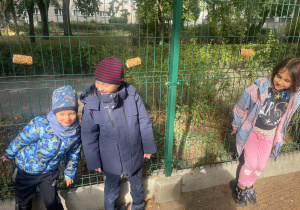 Budujemy karmniki dla ptaków