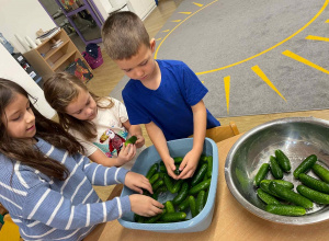 Robimy ogórki kiszone