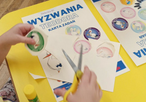 AWF zajęcia sportowe nr 3