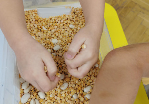 Dynia - zabawa sensoryczna