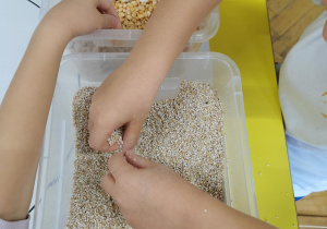 Dynia - zabawa sensoryczna