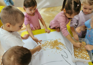 Dynia - zabawa sensoryczna