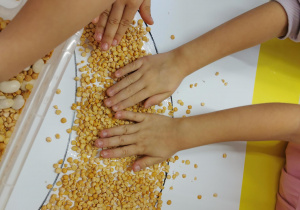 Dynia - zabawa sensoryczna