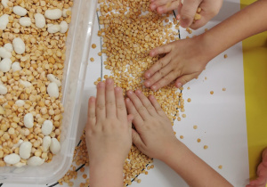 Dynia - zabawa sensoryczna