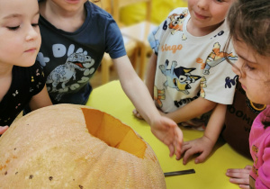 Lampion z dyni - wyzwanie Teodora: "antynudek"