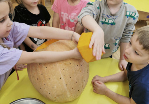 Lampion z dyni - wyzwanie Teodora: "antynudek"