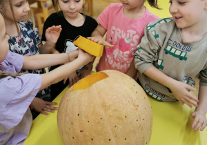 Lampion z dyni - wyzwanie Teodora: "antynudek"