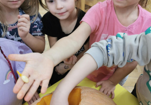 Lampion z dyni - wyzwanie Teodora: "antynudek"