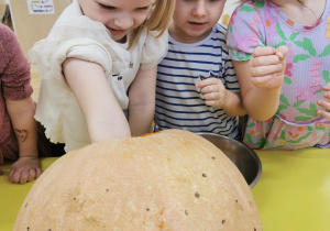 Lampion z dyni - wyzwanie Teodora: "antynudek"