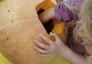 Lampion z dyni - wyzwanie Teodora: "antynudek"