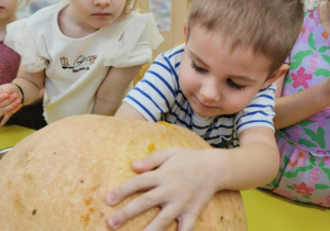 Lampion z dyni - wyzwanie Teodora: "antynudek"