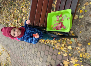 Dynia w kolorach jesieni