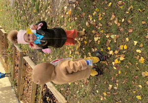 Dynia w kolorach jesieni