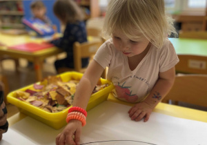 Dynia w kolorach jesieni