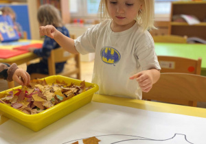 Dynia w kolorach jesieni