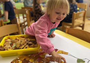 Dynia w kolorach jesieni