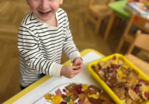 Dynia w kolorach jesieni