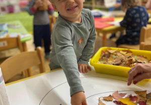 Dynia w kolorach jesieni