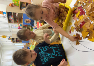 Dynia w kolorach jesieni