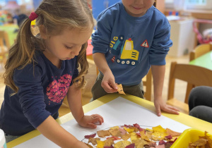 Dynia w kolorach jesieni