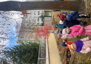 Wiewiórka wśród przedszkolnych zabaw