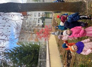 Wiewiórka wśród przedszkolnych zabaw