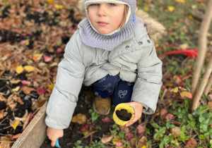 Wiewiórka wśród przedszkolnych zabaw