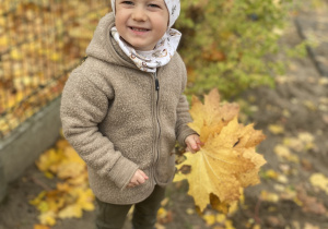 Wiewiórka wśród przedszkolnych zabaw