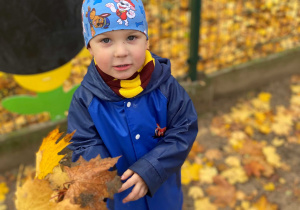 Wiewiórka wśród przedszkolnych zabaw