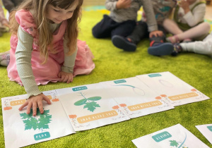 Święto Dyni - piankodynie