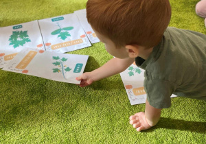 Święto Dyni - piankodynie