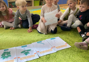 Święto Dyni - piankodynie