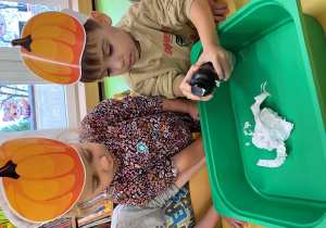 Święto Dyni - piankodynie