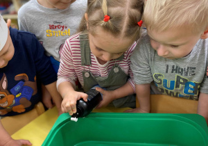 Święto Dyni - piankodynie