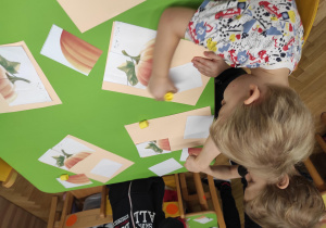 Święto dyni - karty pracy