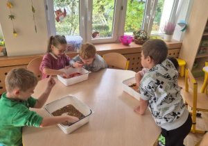 Zabawy sensoplastyczne