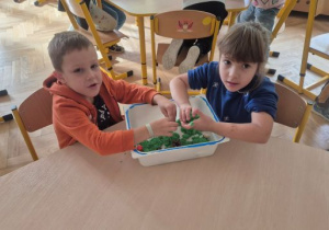 Zabawy sensoplastyczne