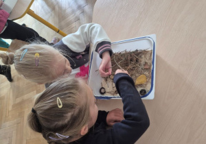 Zabawy sensoplastyczne