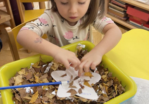 Czarodziejska różdżka