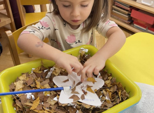 Czarodziejska różdżka