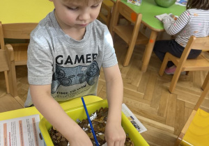 Czarodziejska różdżka