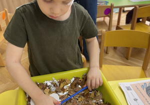 Czarodziejska różdżka