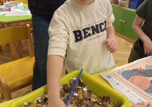 Czarodziejska różdżka